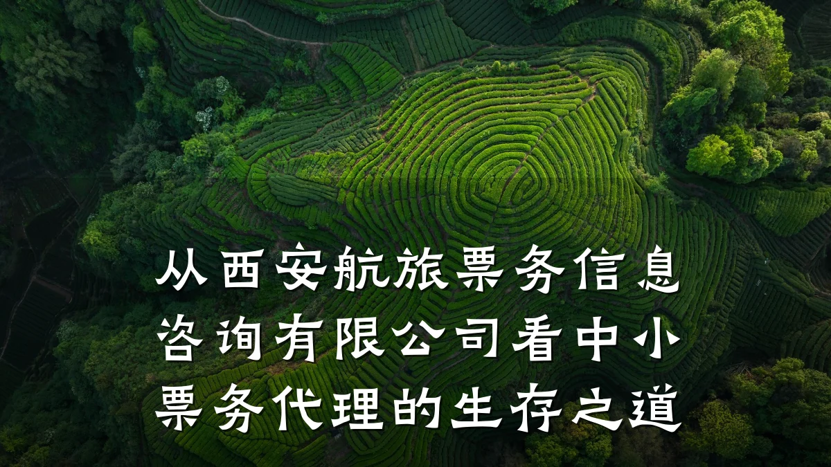 从西安航旅票务信息咨询有限公司看中小票务代理的生存之道