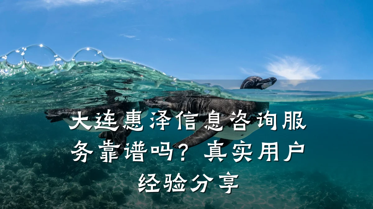 大连惠泽信息咨询服务靠谱吗？真实用户经验分享
