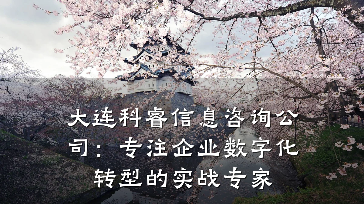 大连科睿信息咨询公司：专注企业数字化转型的实战专家