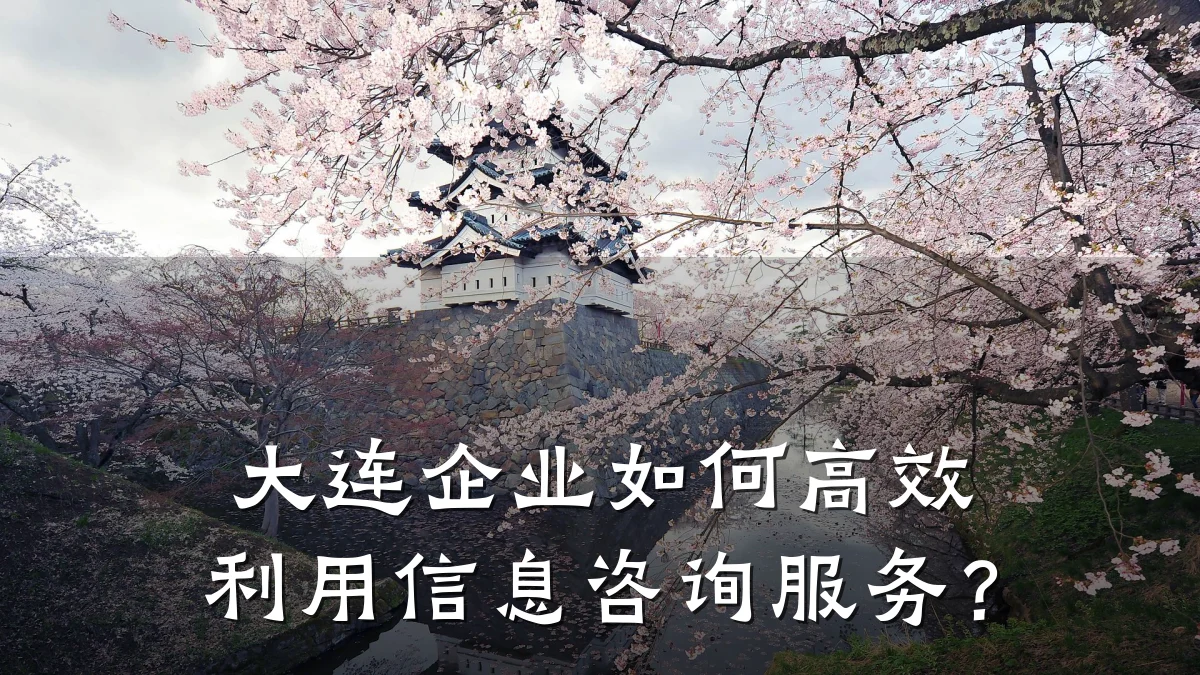 大连企业如何高效利用信息咨询服务？