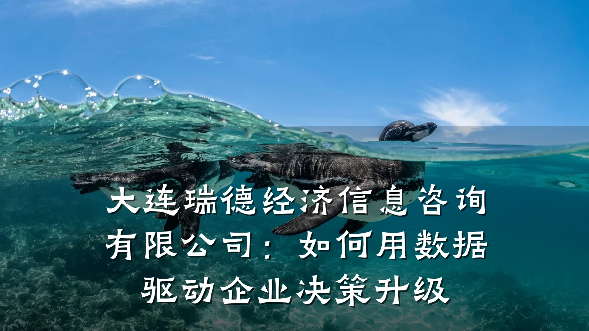 大连瑞德经济信息咨询有限公司：如何用数据驱动企业决策升级