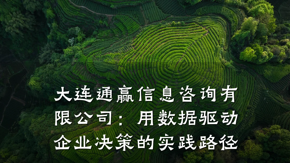 大连通赢信息咨询有限公司：用数据驱动企业决策的实践路径