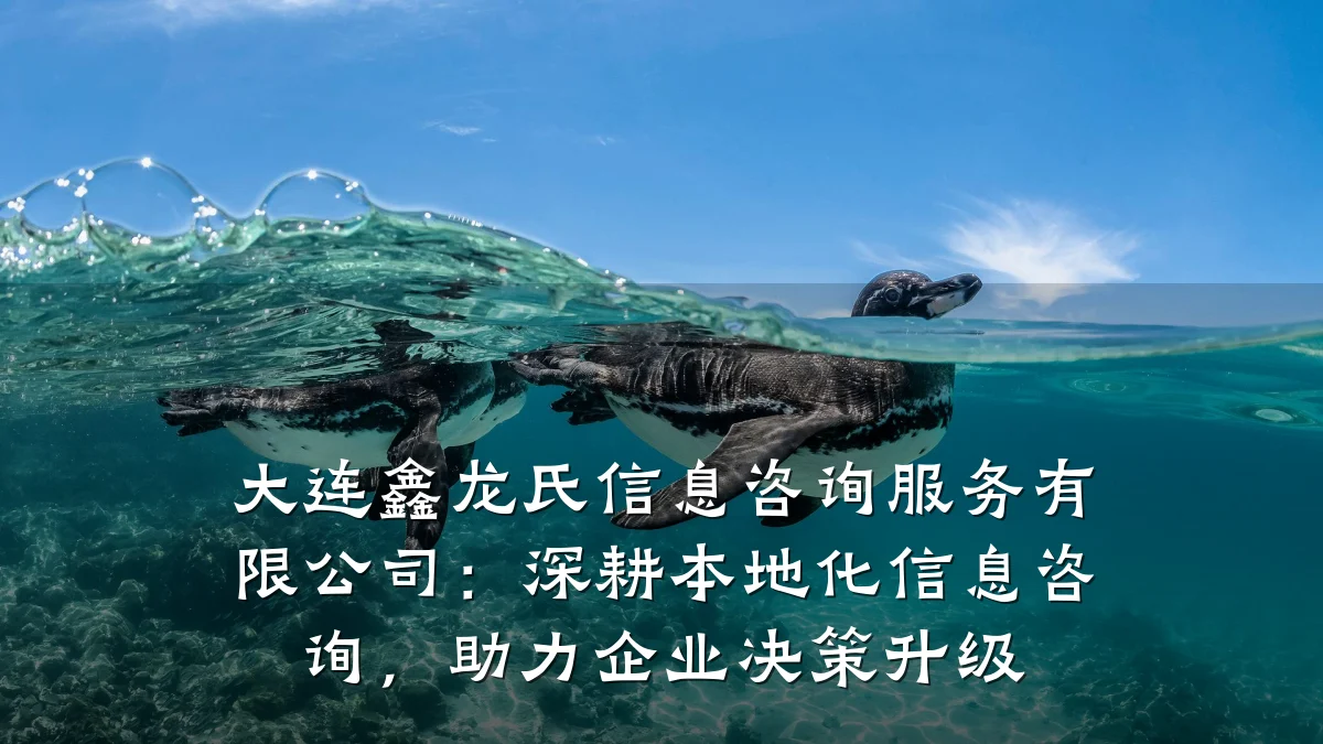 大连鑫龙氏信息咨询服务有限公司：深耕本地化信息咨询，助力企业决策升级