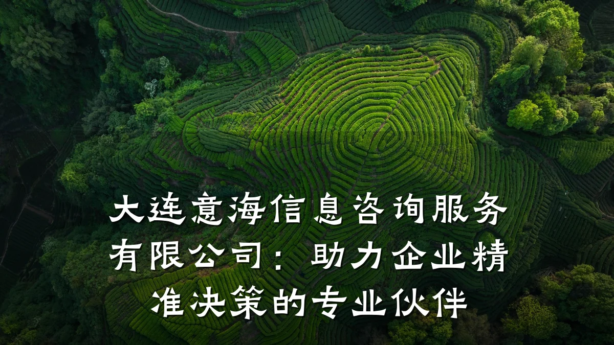 大连意海信息咨询服务有限公司：助力企业精准决策的专业伙伴