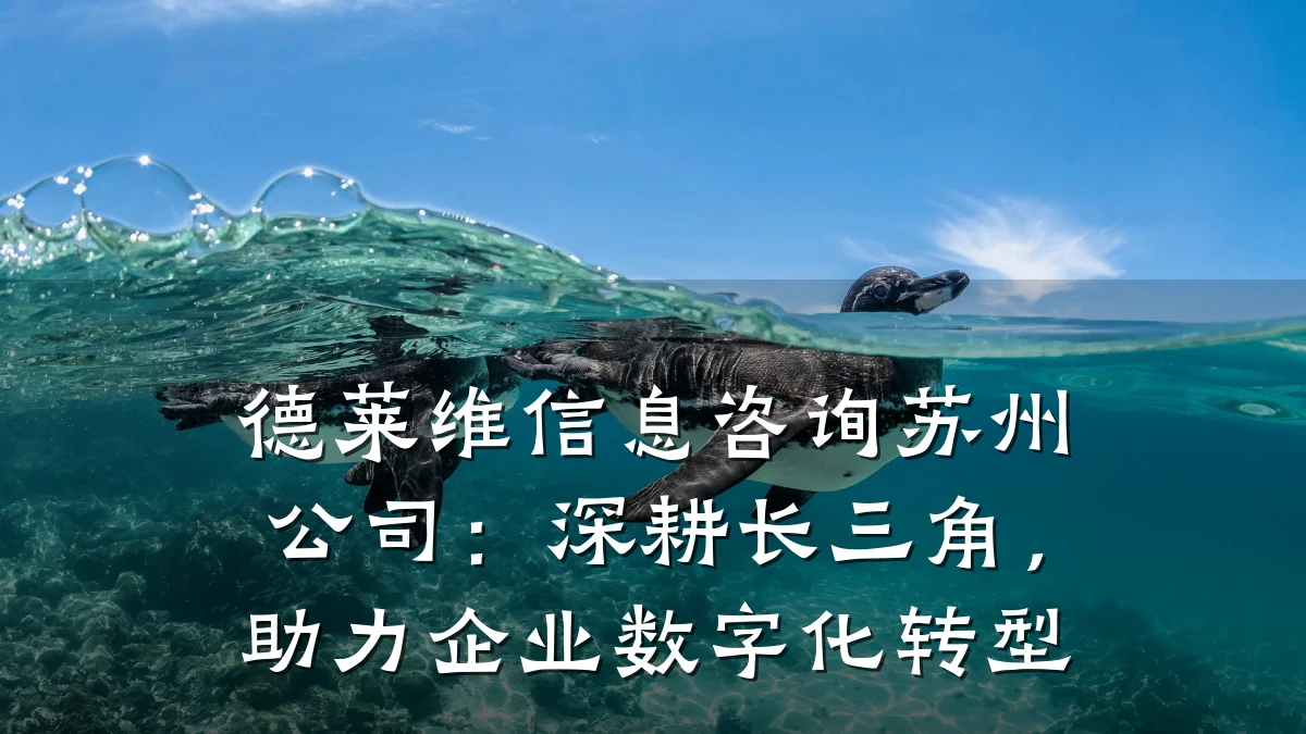 德莱维信息咨询苏州公司：深耕长三角，助力企业数字化转型