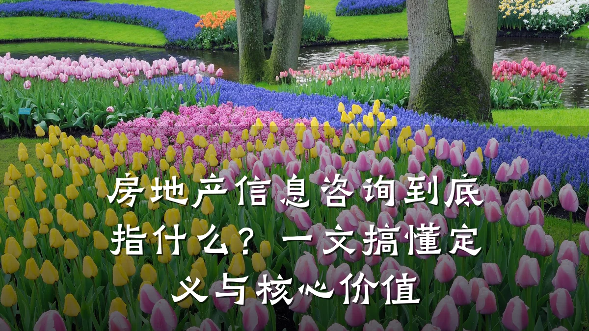 房地产信息咨询到底指什么？一文搞懂定义与核心价值