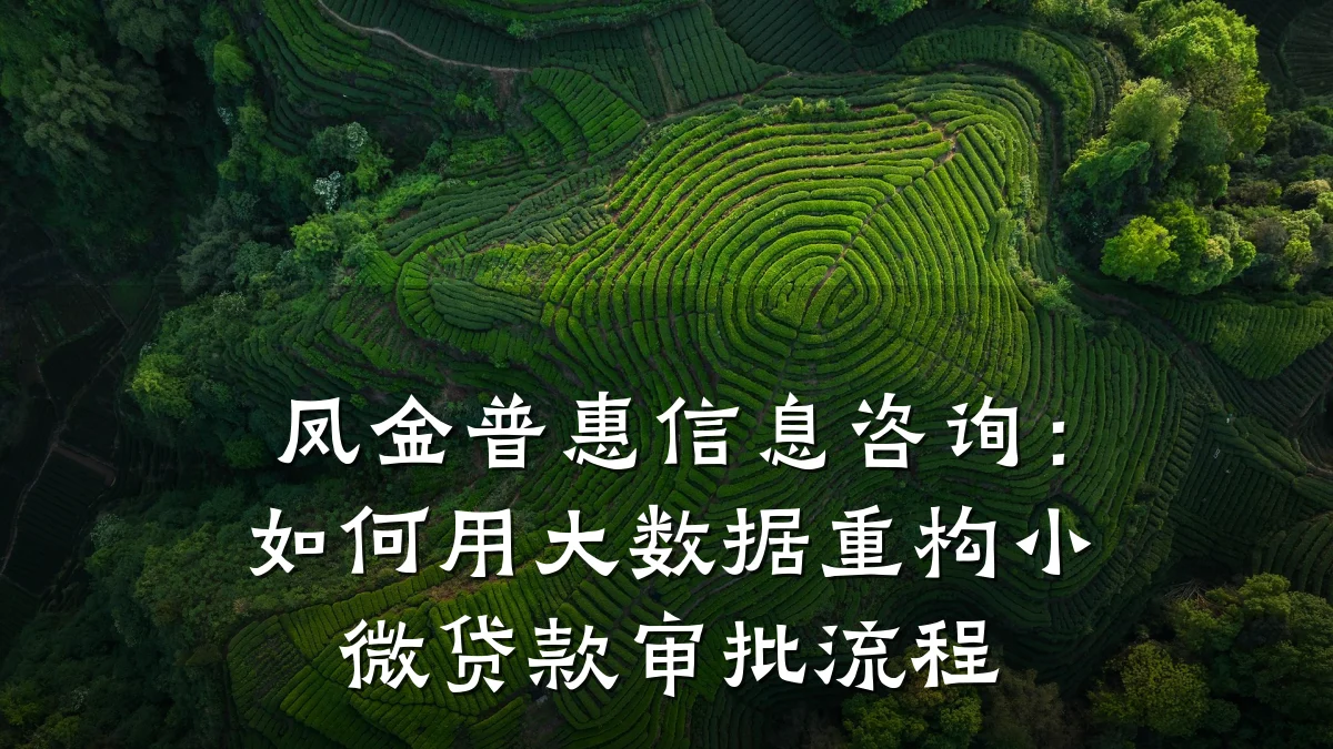 凤金普惠信息咨询：如何用大数据重构小微贷款审批流程