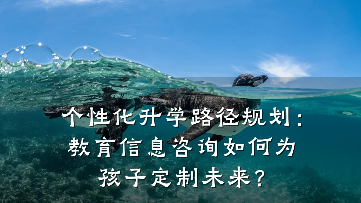 个性化升学路径规划：教育信息咨询如何为孩子定制未来？