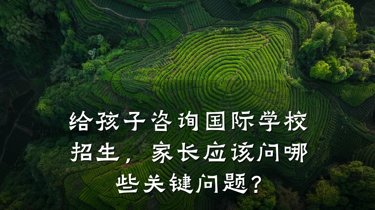给孩子咨询国际学校招生,家长应该问哪些关键问题?