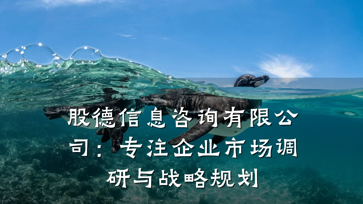 股德信息咨询有限公司：专注企业市场调研与战略规划
