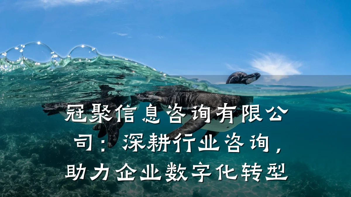 冠聚信息咨询有限公司：深耕行业咨询，助力企业数字化转型
