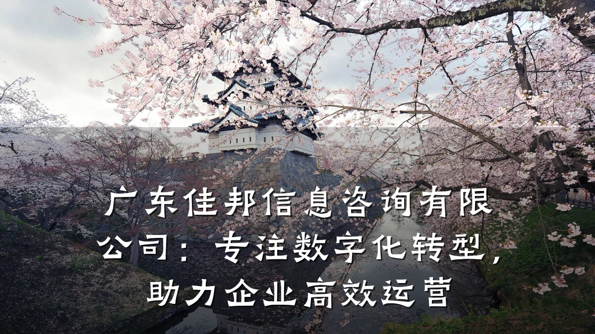 广东佳邦信息咨询有限公司：专注数字化转型，助力企业高效运营