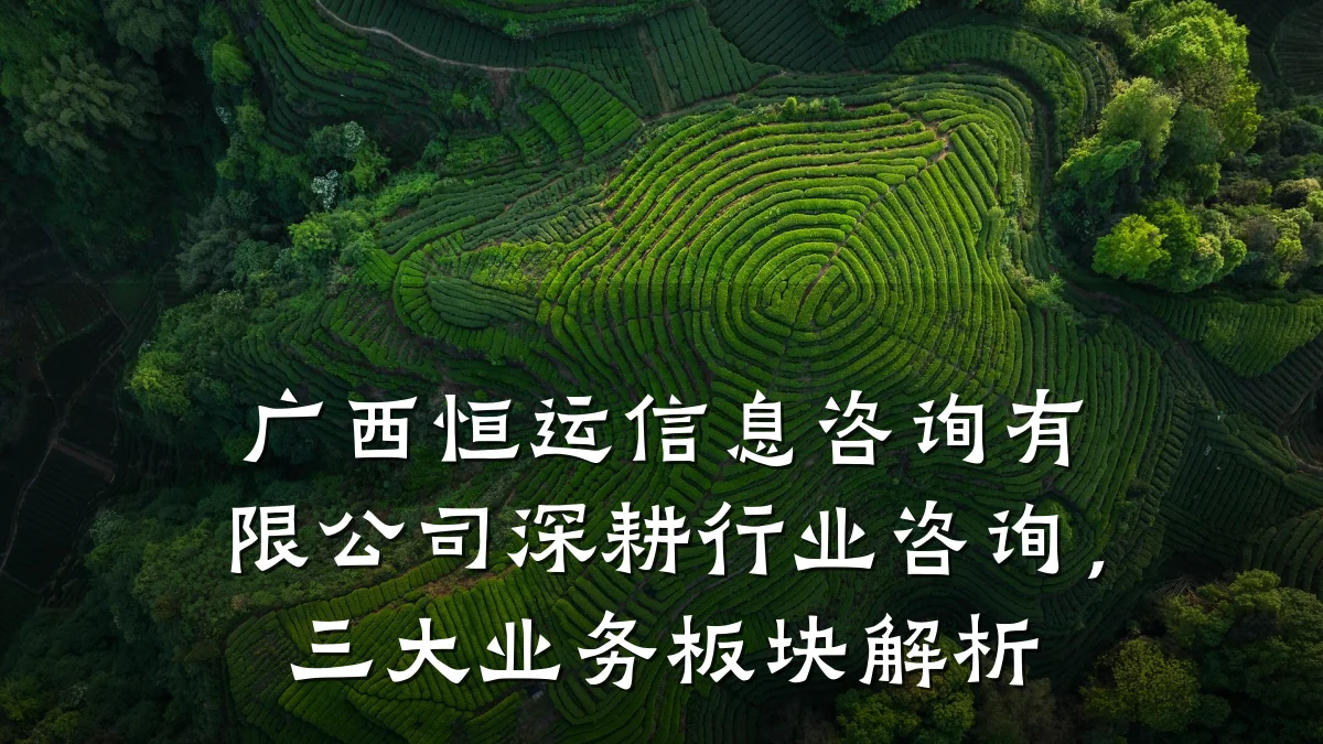 广西恒运信息咨询有限公司深耕行业咨询，三大业务板块解析
