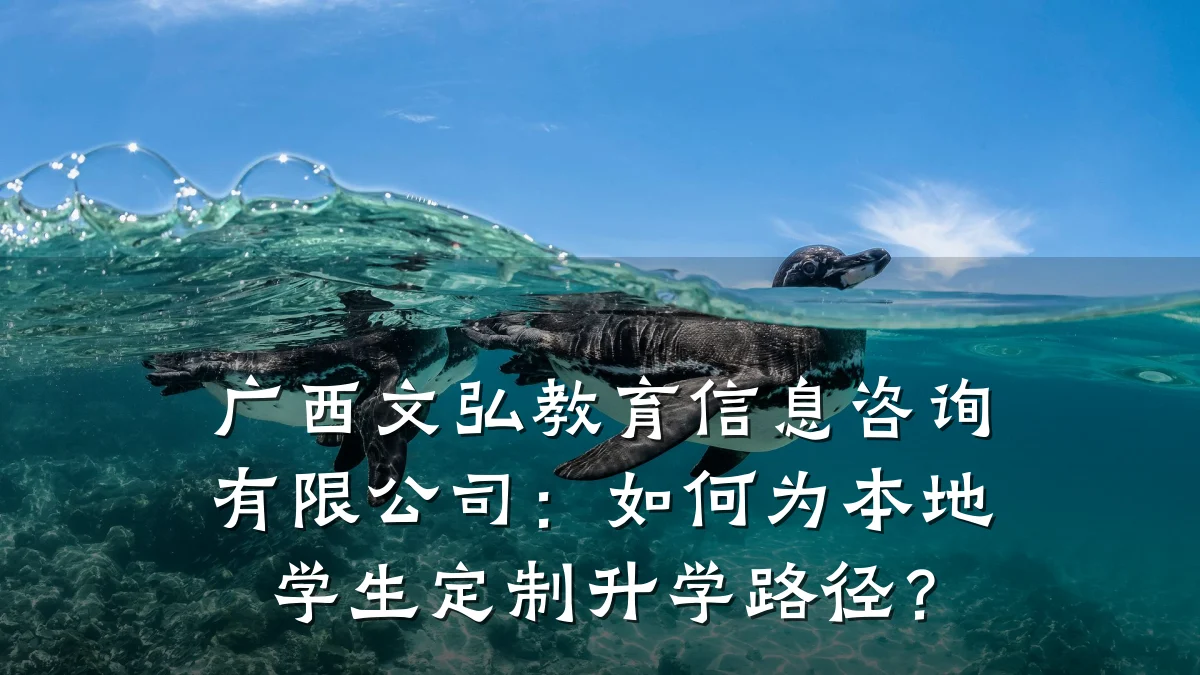 广西文弘教育信息咨询有限公司：如何为本地学生定制升学路径？