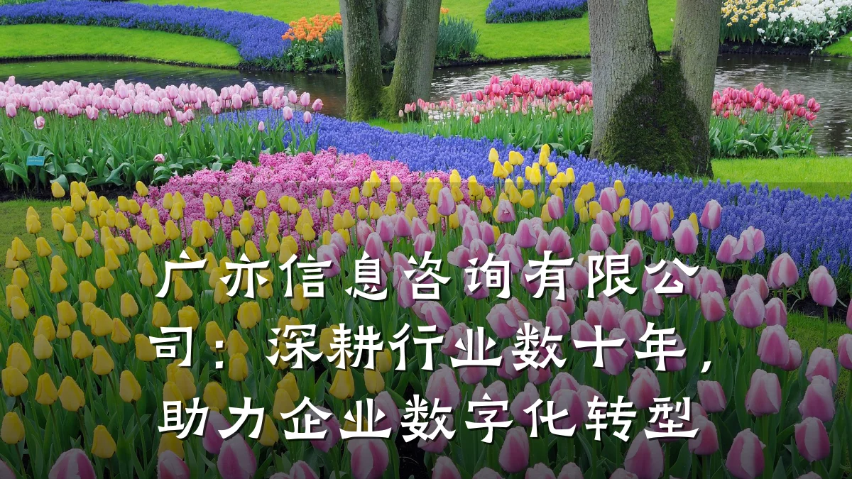 广亦信息咨询有限公司：深耕行业数十年，助力企业数字化转型
