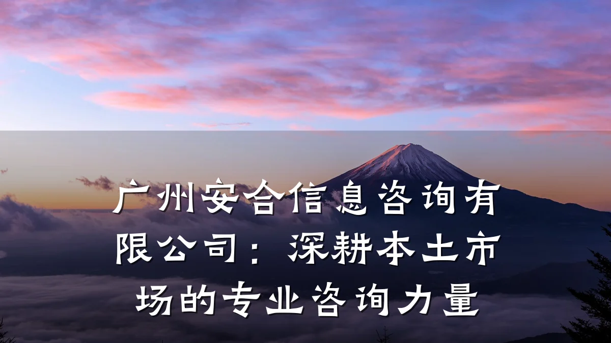 广州安合信息咨询有限公司:深耕本土市场的专业咨询力量