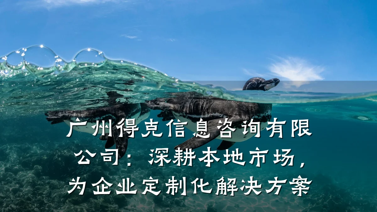 广州得克信息咨询有限公司：深耕本地市场，为企业定制化解决方案