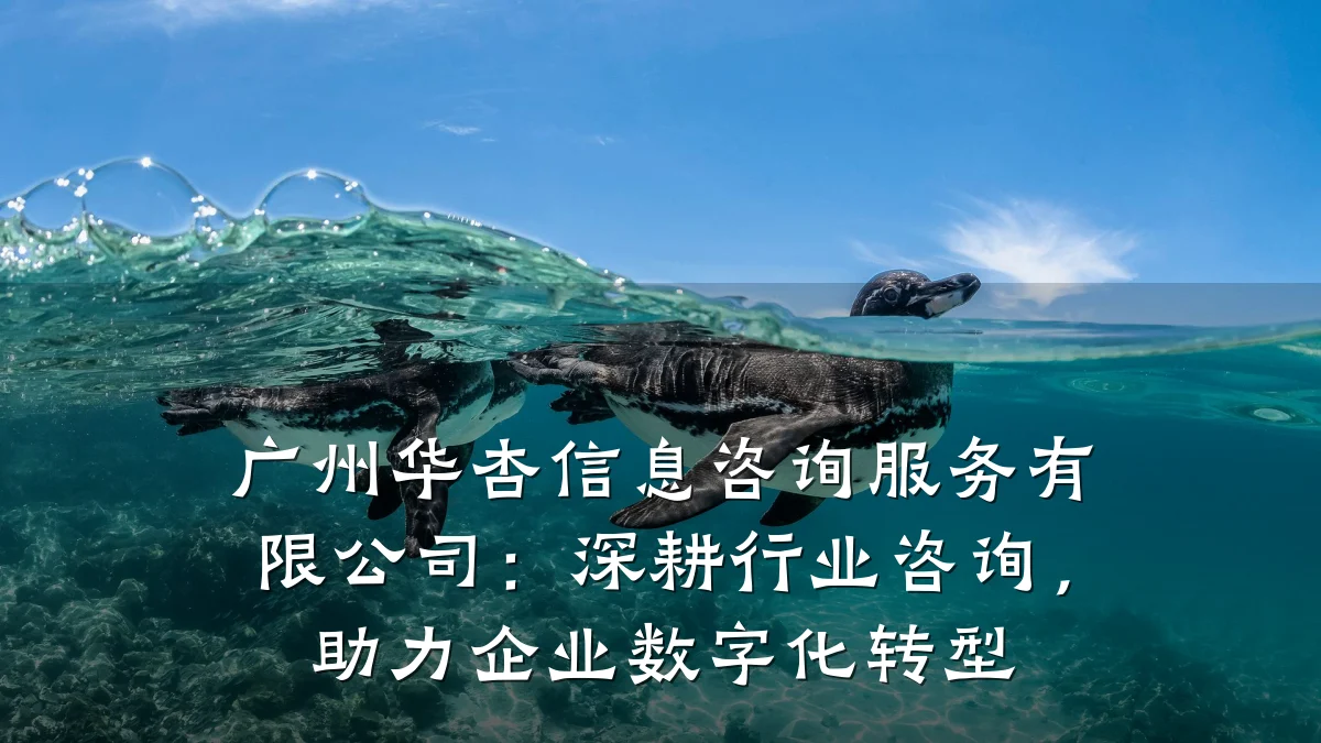 广州华杏信息咨询服务有限公司：深耕行业咨询，助力企业数字化转型
