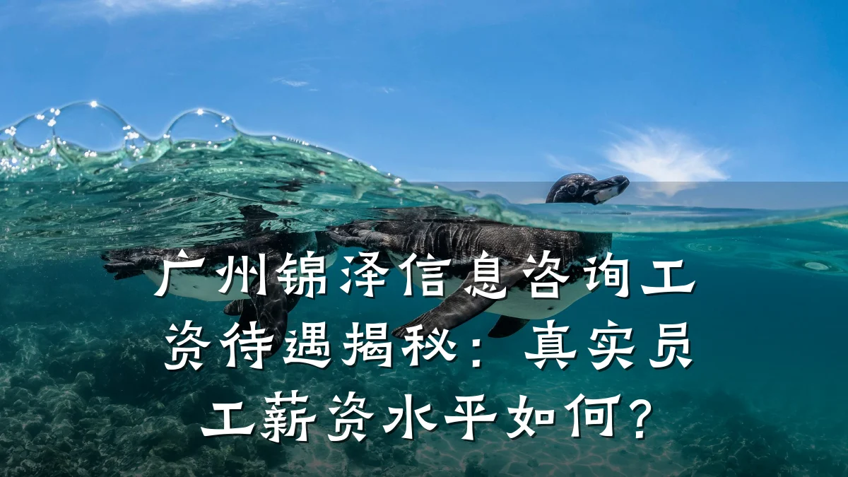 广州锦泽信息咨询工资待遇揭秘：真实员工薪资水平如何？