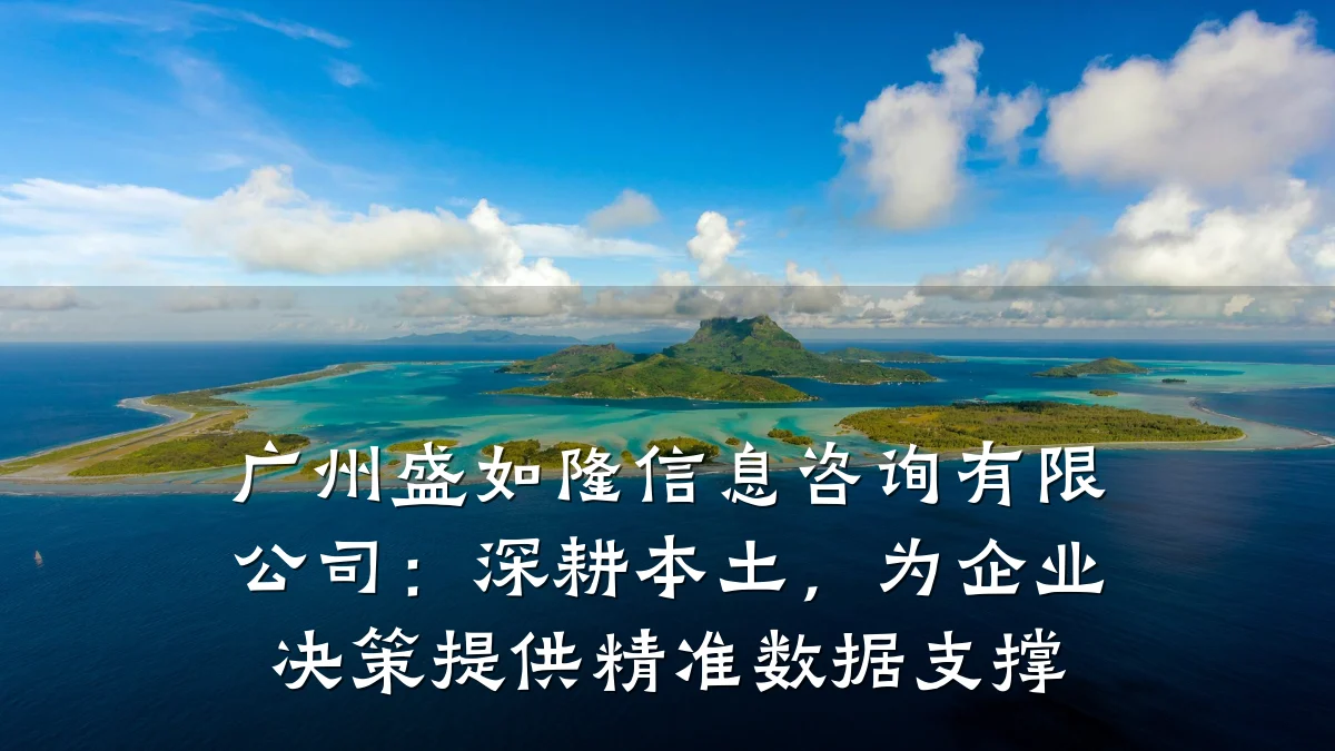 广州盛如隆信息咨询有限公司：深耕本土，为企业决策提供精准数据支撑