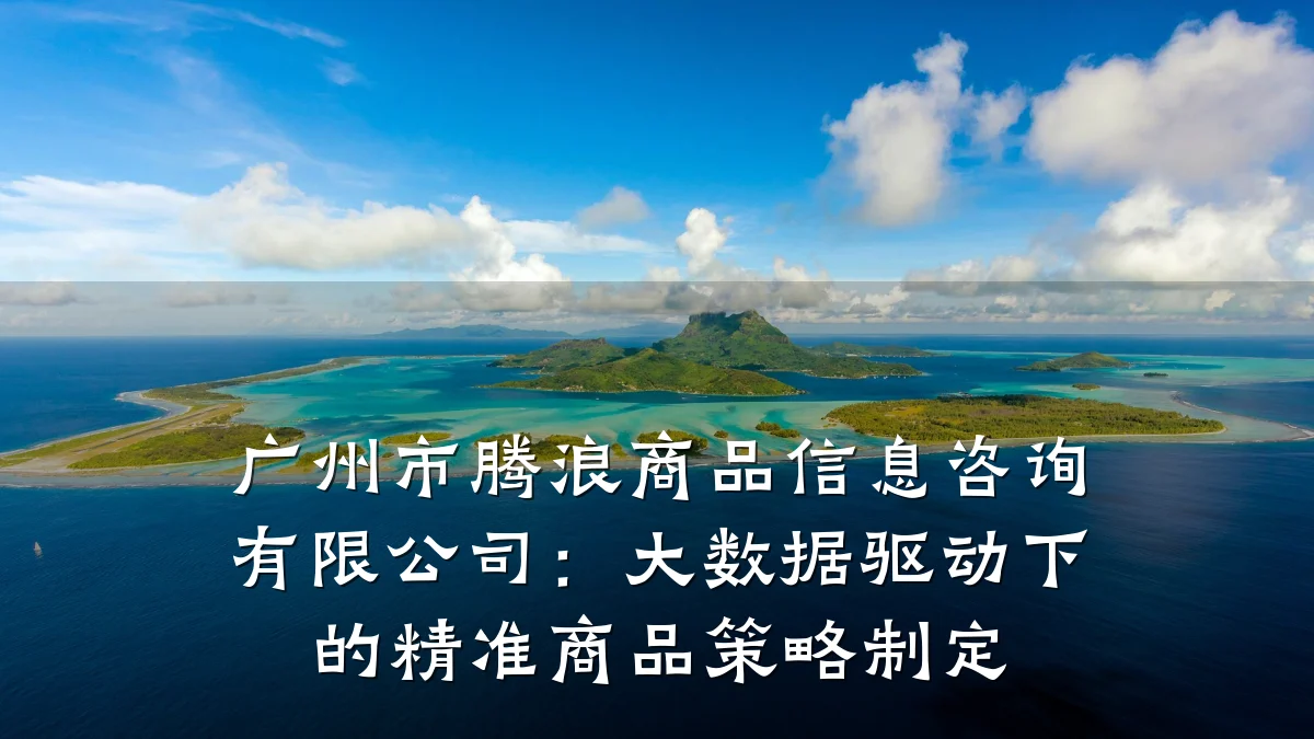 广州市腾浪商品信息咨询有限公司：大数据驱动下的精准商品策略制定