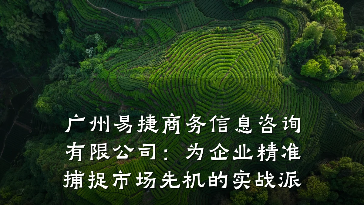 广州易捷商务信息咨询有限公司：为企业精准捕捉市场先机的实战派