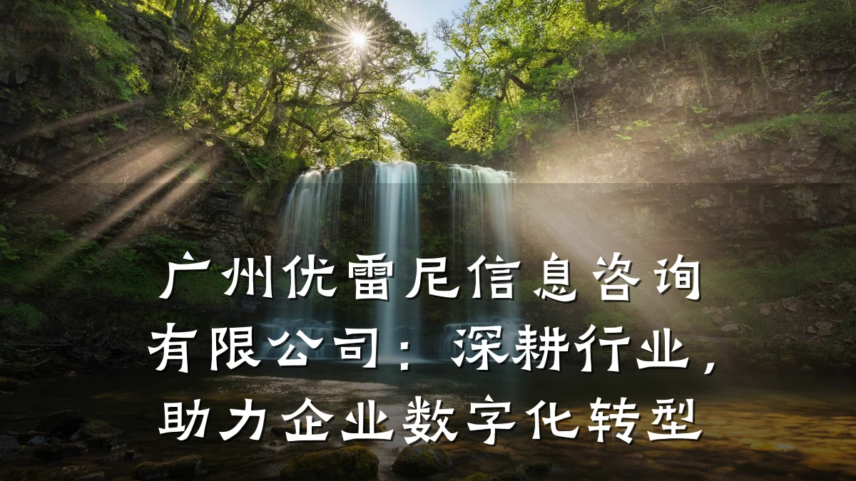 广州优雷尼信息咨询有限公司：深耕行业，助力企业数字化转型