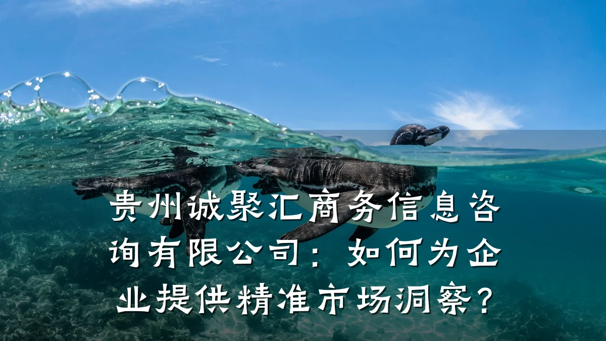 贵州诚聚汇商务信息咨询有限公司：如何为企业提供精准市场洞察？