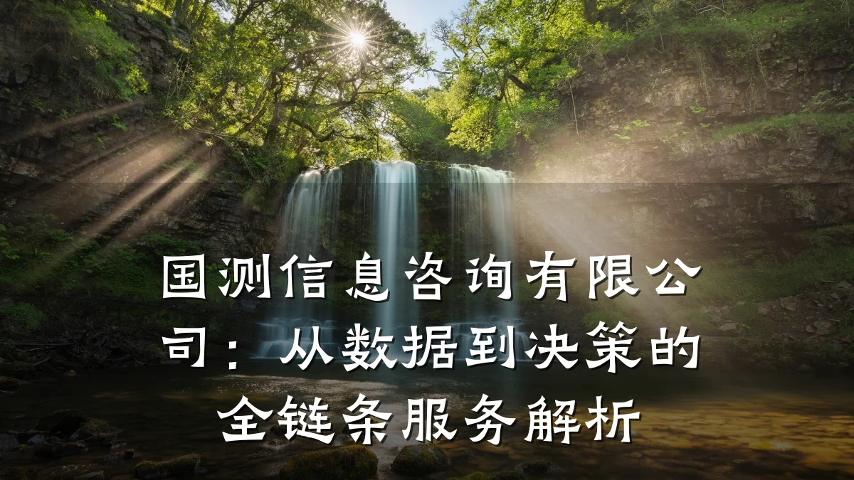 国测信息咨询有限公司：从数据到决策的全链条服务解析