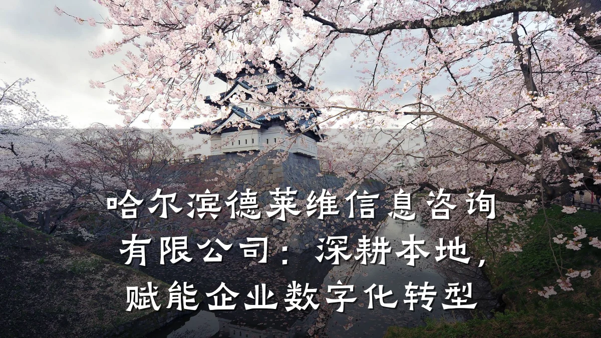 哈尔滨德莱维信息咨询有限公司：深耕本地，赋能企业数字化转型