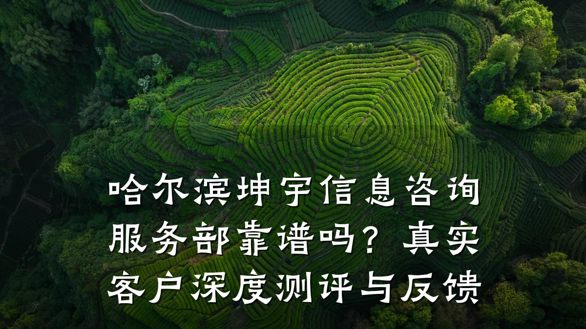 哈尔滨坤宇信息咨询服务部靠谱吗？真实客户深度测评与反馈