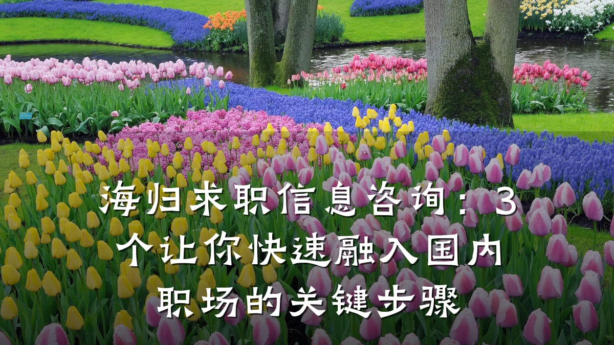海归求职信息咨询：3个让你快速融入国内职场的关键步骤