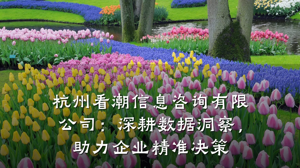 杭州看潮信息咨询有限公司：深耕数据洞察，助力企业精准决策