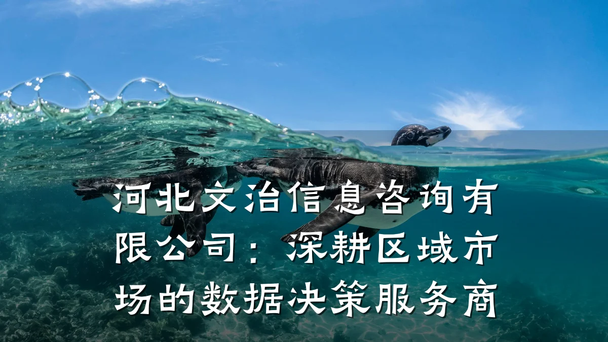 河北文治信息咨询有限公司：深耕区域市场的数据决策服务商