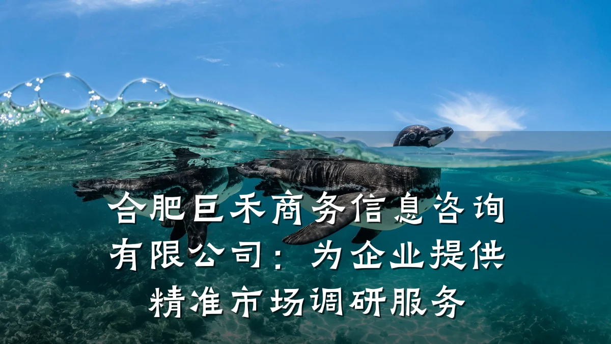 合肥巨禾商务信息咨询有限公司：为企业提供精准市场调研服务