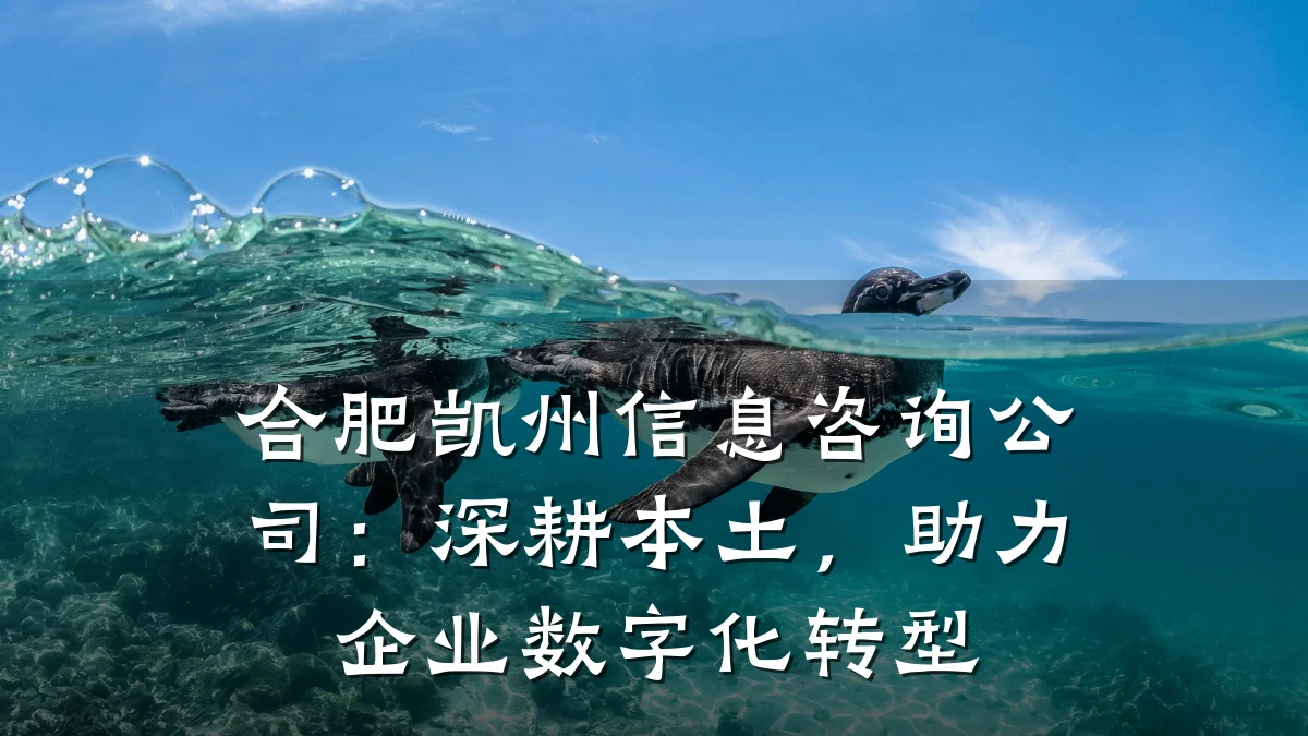 合肥凯州信息咨询公司：深耕本土，助力企业数字化转型