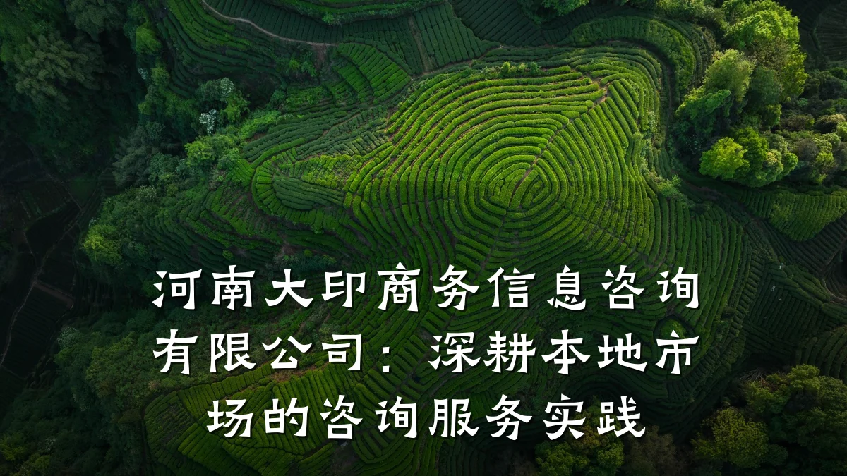 河南大印商务信息咨询有限公司：深耕本地市场的咨询服务实践