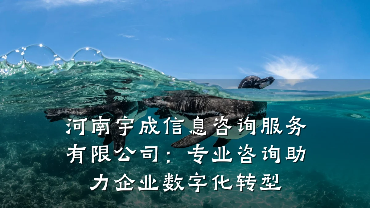 河南宇成信息咨询服务有限公司：专业咨询助力企业数字化转型