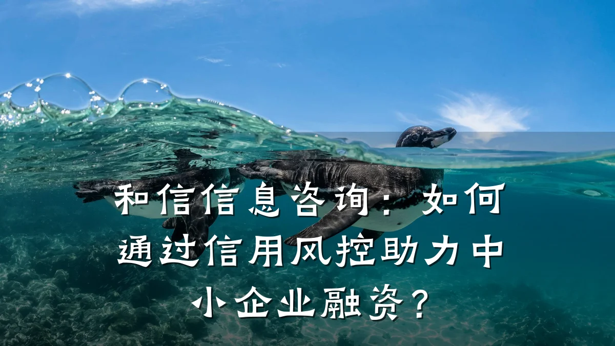 和信信息咨询：如何通过信用风控助力中小企业融资？