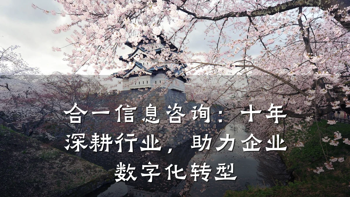 合一信息咨询：十年深耕行业，助力企业数字化转型