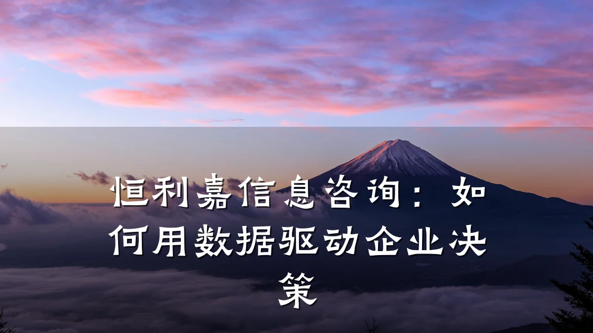 恒利嘉信息咨询：如何用数据驱动企业决策
