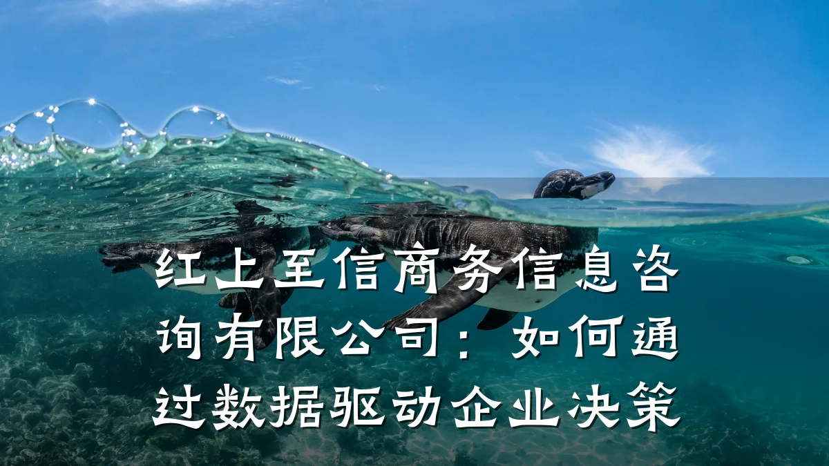 红上至信商务信息咨询有限公司：如何通过数据驱动企业决策