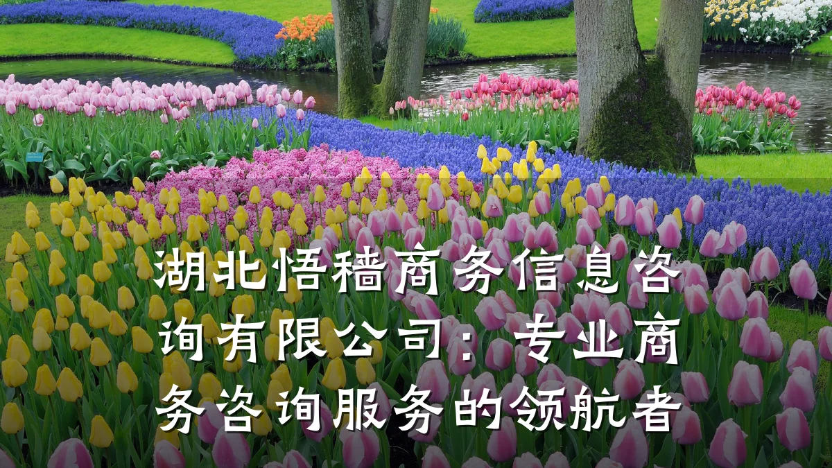 湖北悟穑商务信息咨询有限公司：专业商务咨询服务的领航者