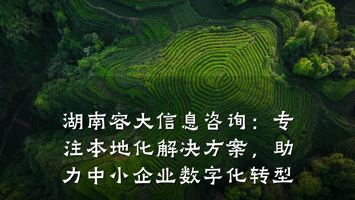 湖南容大信息咨询：专注本地化解决方案，助力中小企业数字化转型