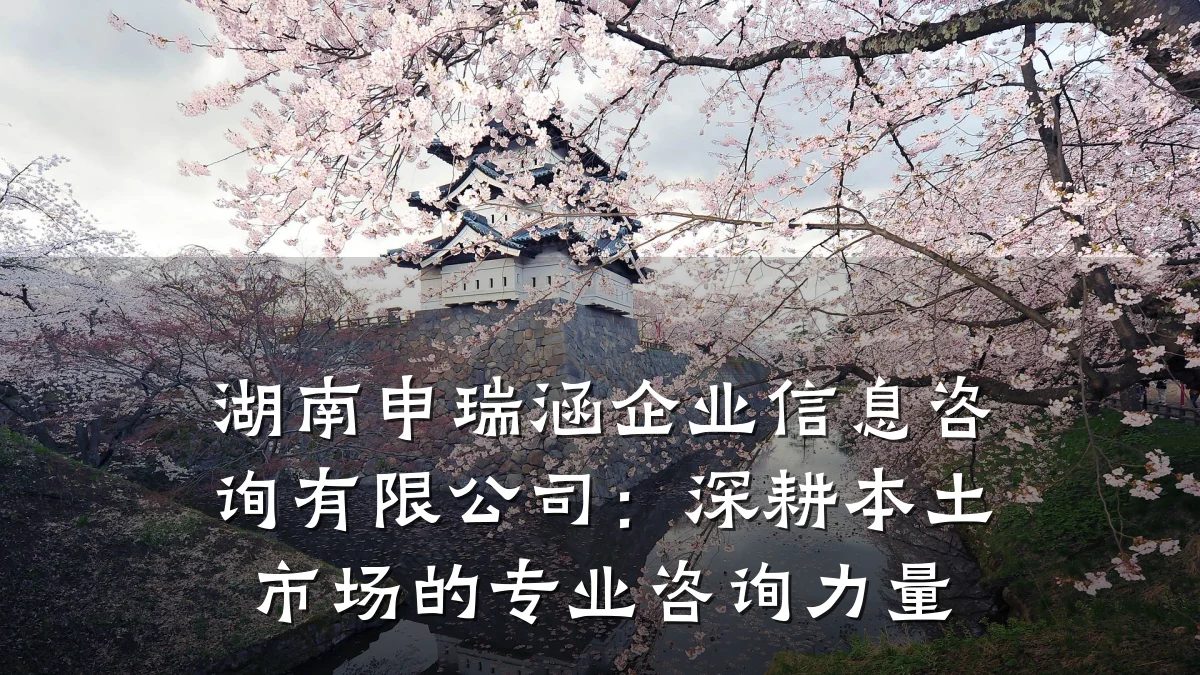 湖南申瑞涵企业信息咨询有限公司：深耕本土市场的专业咨询力量