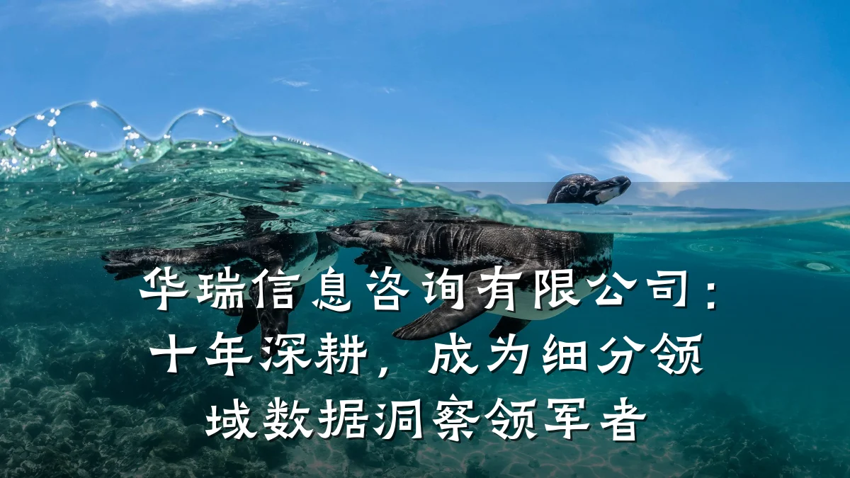 华瑞信息咨询有限公司：十年深耕，成为细分领域数据洞察领军者