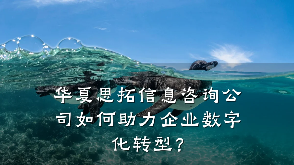 华夏思拓信息咨询公司如何助力企业数字化转型？
