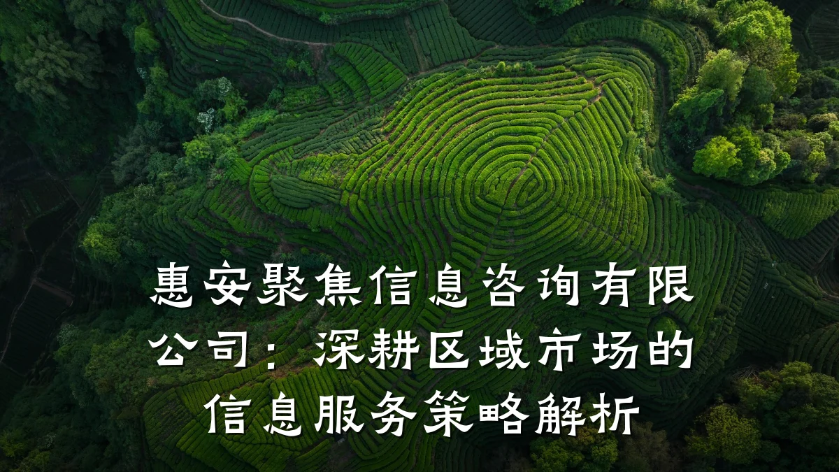 惠安聚焦信息咨询有限公司：深耕区域市场的信息服务策略解析