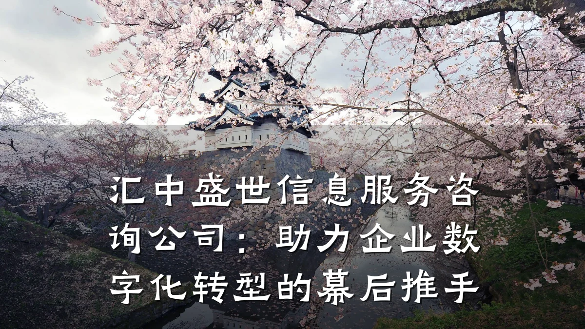 汇中盛世信息服务咨询公司：助力企业数字化转型的幕后推手