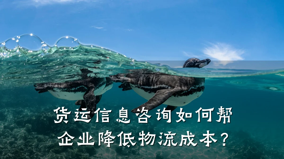 货运信息咨询如何帮企业降低物流成本？